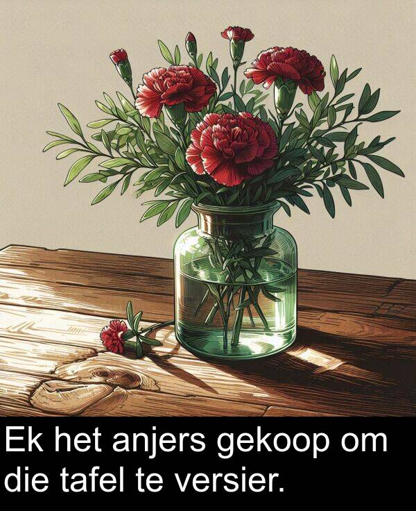 gekoop: Ek het anjers gekoop om die tafel te versier.