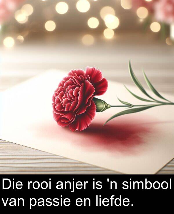 passie: Die rooi anjer is 'n simbool van passie en liefde.