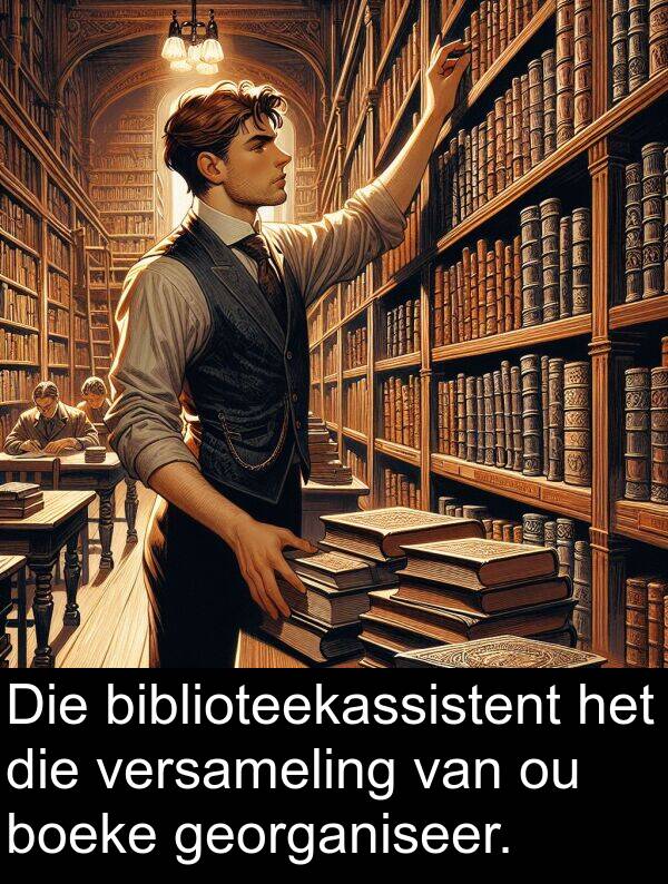 versameling: Die biblioteekassistent het die versameling van ou boeke georganiseer.