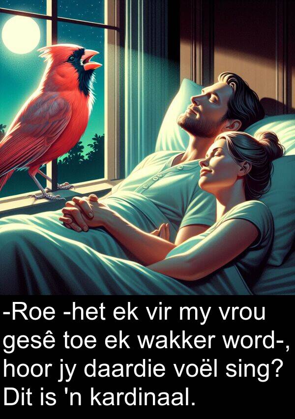 hoor: -Roe -het ek vir my vrou gesê toe ek wakker word-, hoor jy daardie voël sing? Dit is 'n kardinaal.