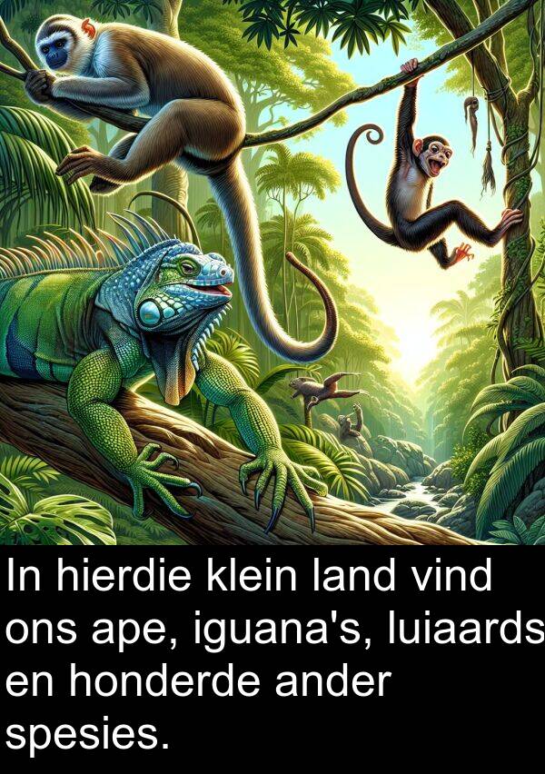 honderde: In hierdie klein land vind ons ape, iguana's, luiaards en honderde ander spesies.