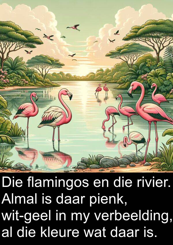 pienk: Die flamingos en die rivier. Almal is daar pienk, wit-geel in my verbeelding, al die kleure wat daar is.