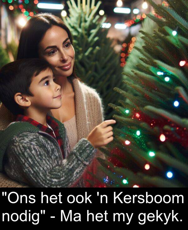 nodig: "Ons het ook 'n Kersboom nodig" - Ma het my gekyk.