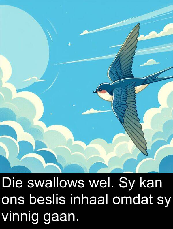 beslis: Die swallows wel. Sy kan ons beslis inhaal omdat sy vinnig gaan.