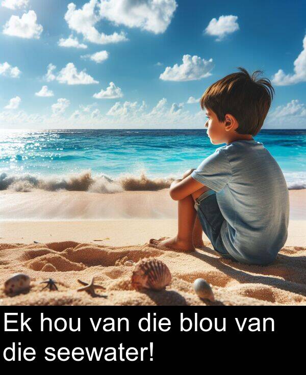 hou: Ek hou van die blou van die seewater!