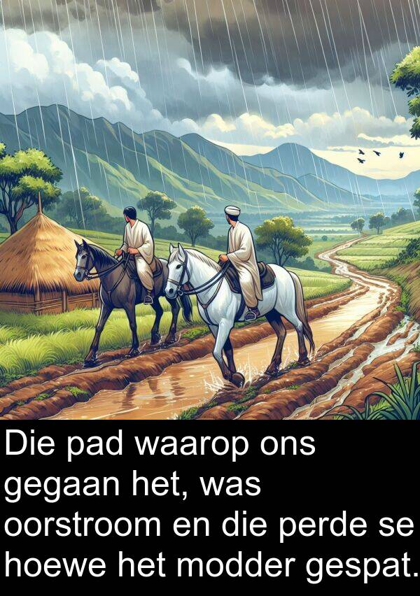 gegaan: Die pad waarop ons gegaan het, was oorstroom en die perde se hoewe het modder gespat.