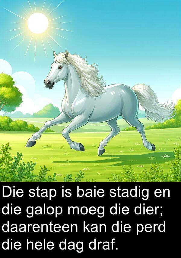 perd: Die stap is baie stadig en die galop moeg die dier; daarenteen kan die perd die hele dag draf.