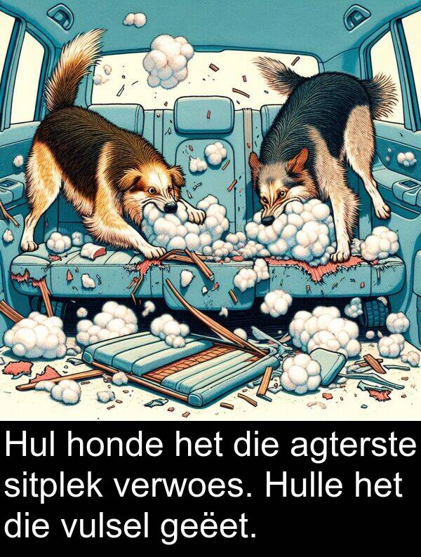 honde: Hul honde het die agterste sitplek verwoes. Hulle het die vulsel geëet.