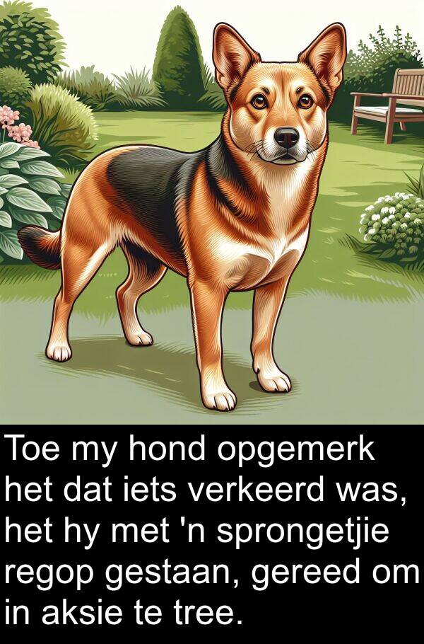 tree: Toe my hond opgemerk het dat iets verkeerd was, het hy met 'n sprongetjie regop gestaan, gereed om in aksie te tree.