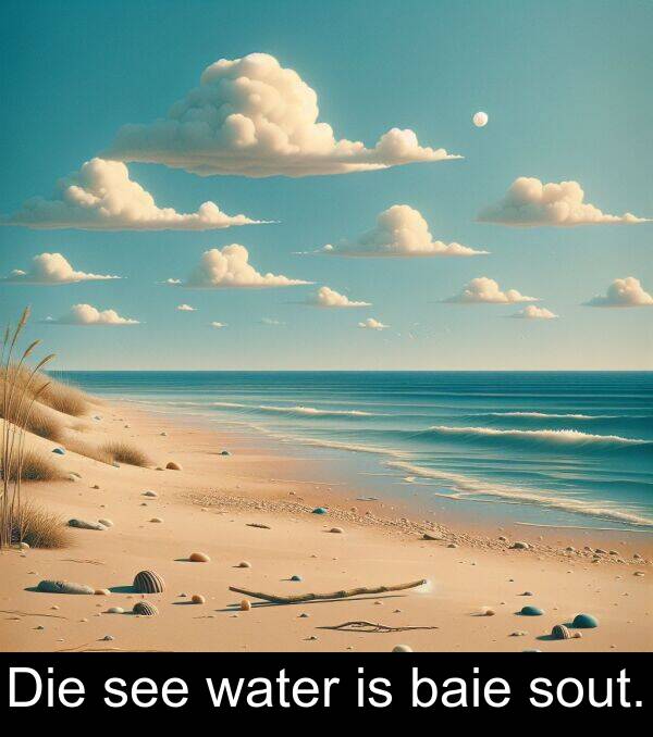 baie: Die see water is baie sout.