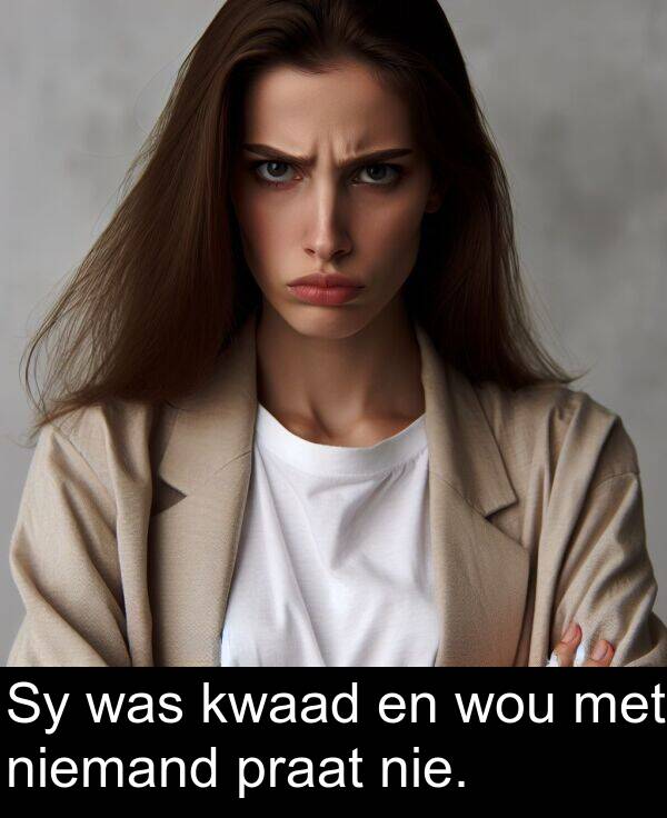 nie: Sy was kwaad en wou met niemand praat nie.