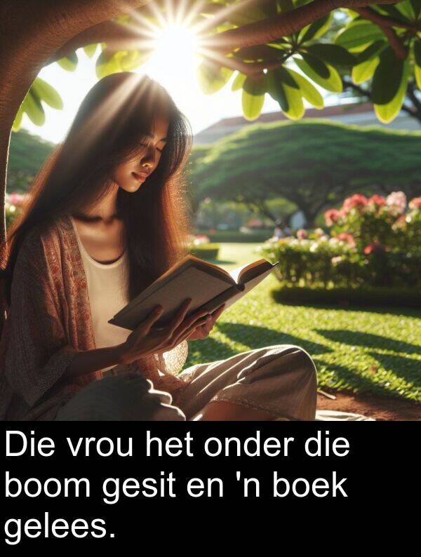 gelees: Die vrou het onder die boom gesit en 'n boek gelees.