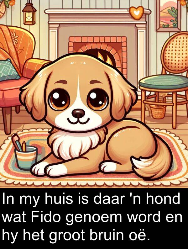 oë: In my huis is daar 'n hond wat Fido genoem word en hy het groot bruin oë.