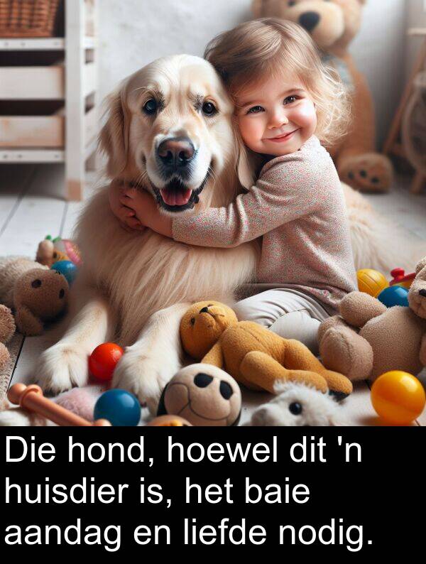 nodig: Die hond, hoewel dit 'n huisdier is, het baie aandag en liefde nodig.