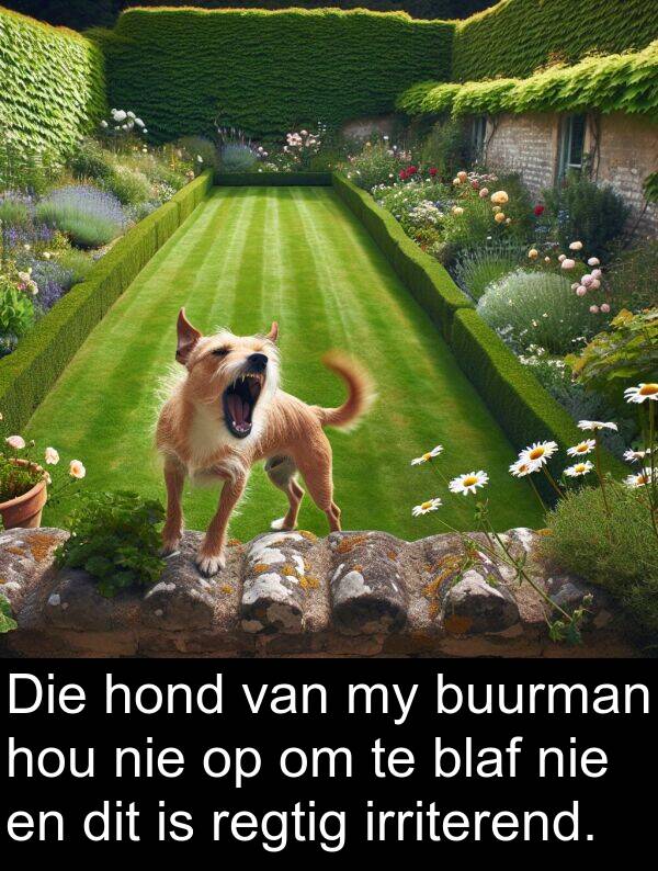 irriterend: Die hond van my buurman hou nie op om te blaf nie en dit is regtig irriterend.