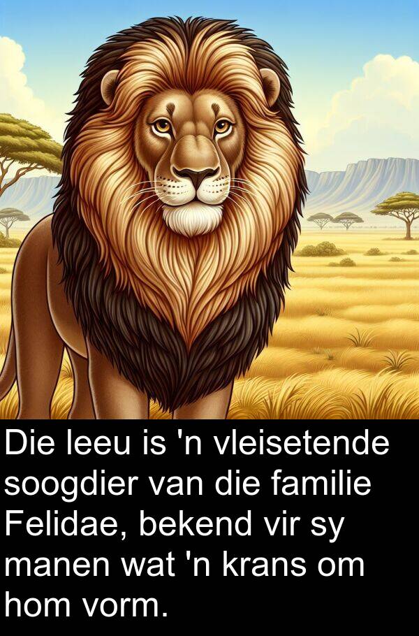 familie: Die leeu is 'n vleisetende soogdier van die familie Felidae, bekend vir sy manen wat 'n krans om hom vorm.