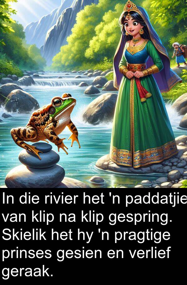 prinses: In die rivier het 'n paddatjie van klip na klip gespring. Skielik het hy 'n pragtige prinses gesien en verlief geraak.