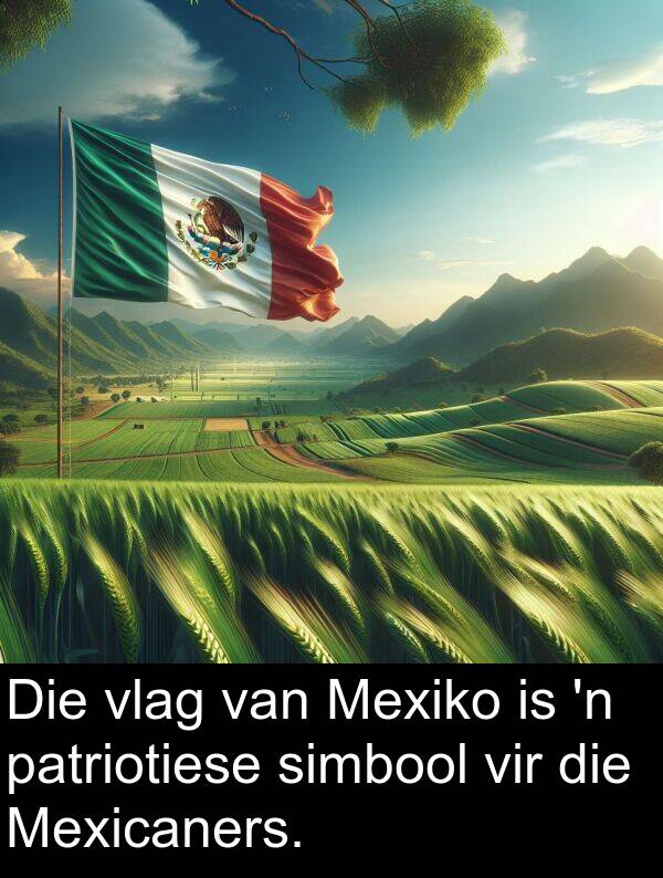 patriotiese: Die vlag van Mexiko is 'n patriotiese simbool vir die Mexicaners.