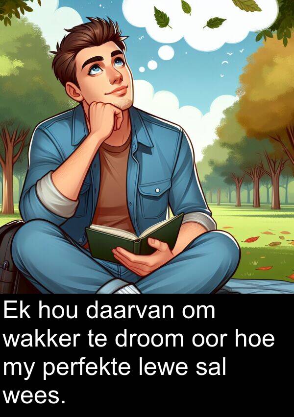 hoe: Ek hou daarvan om wakker te droom oor hoe my perfekte lewe sal wees.