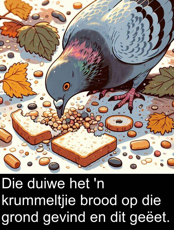 geëet: Die duiwe het 'n krummeltjie brood op die grond gevind en dit geëet.