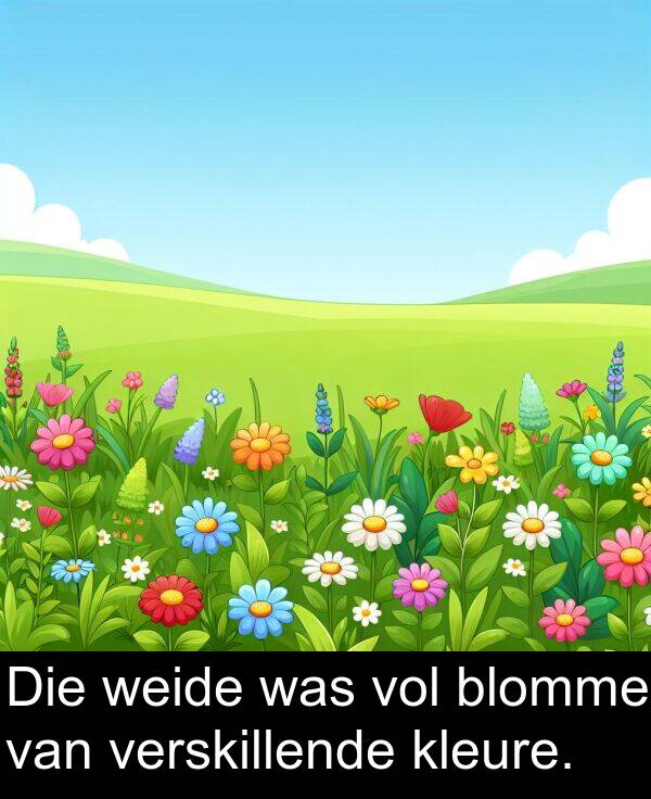 weide: Die weide was vol blomme van verskillende kleure.