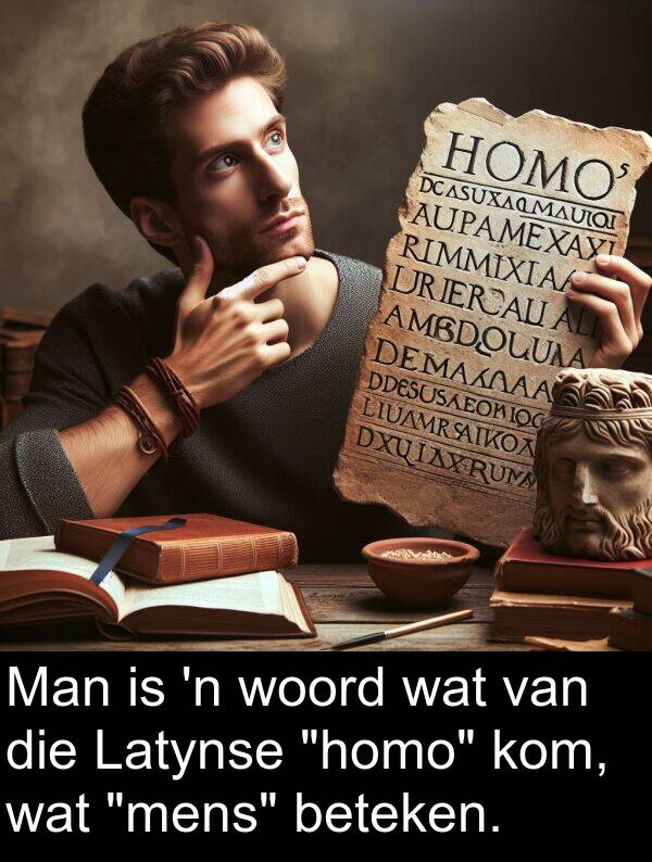 beteken: Man is 'n woord wat van die Latynse "homo" kom, wat "mens" beteken.