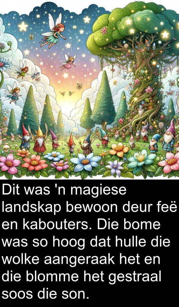 feë: Dit was 'n magiese landskap bewoon deur feë en kabouters. Die bome was so hoog dat hulle die wolke aangeraak het en die blomme het gestraal soos die son.