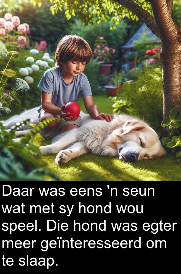 geïnteresseerd: Daar was eens 'n seun wat met sy hond wou speel. Die hond was egter meer geïnteresseerd om te slaap.