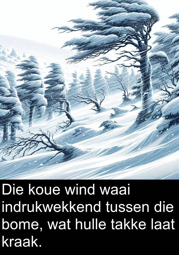 takke: Die koue wind waai indrukwekkend tussen die bome, wat hulle takke laat kraak.