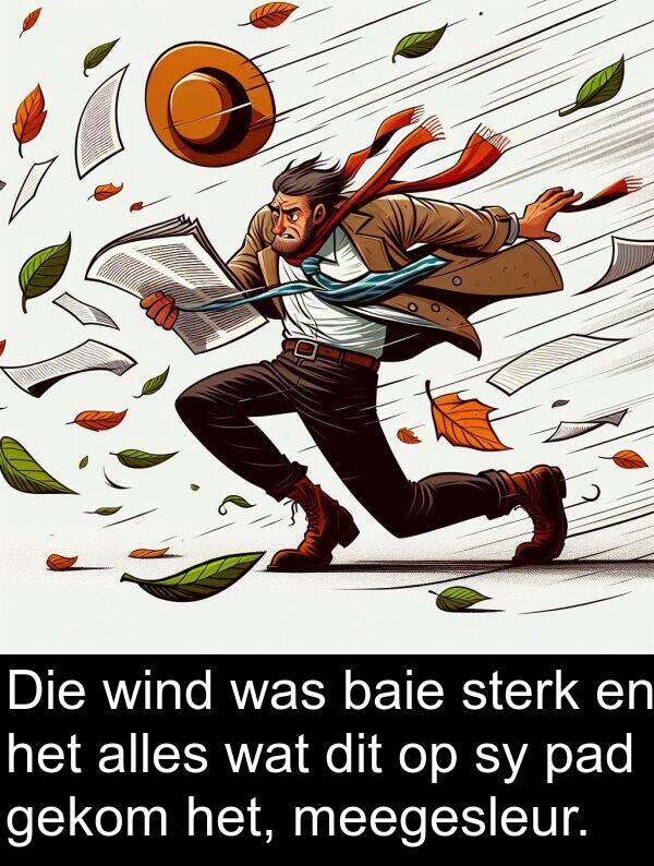 gekom: Die wind was baie sterk en het alles wat dit op sy pad gekom het, meegesleur.