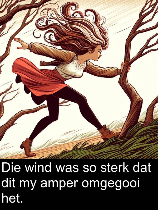 wind: Die wind was so sterk dat dit my amper omgegooi het.