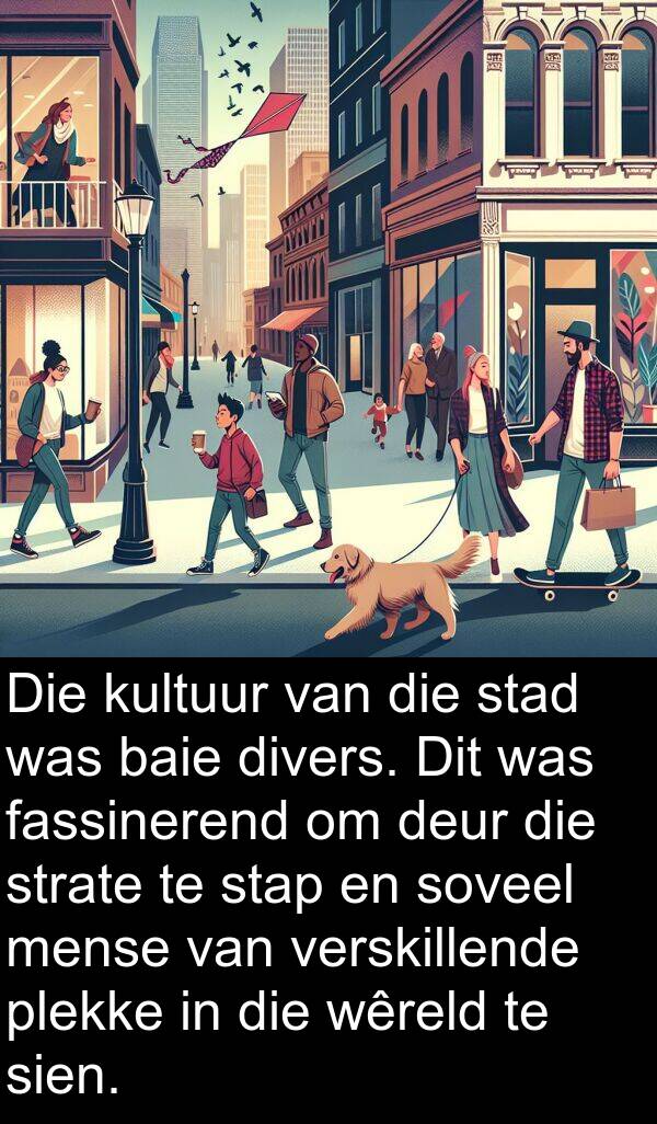 plekke: Die kultuur van die stad was baie divers. Dit was fassinerend om deur die strate te stap en soveel mense van verskillende plekke in die wêreld te sien.