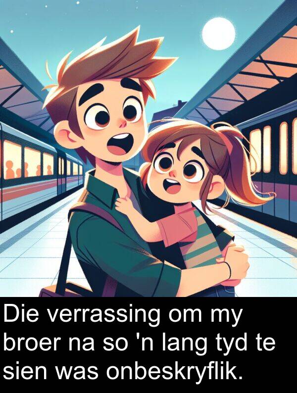 verrassing: Die verrassing om my broer na so 'n lang tyd te sien was onbeskryflik.