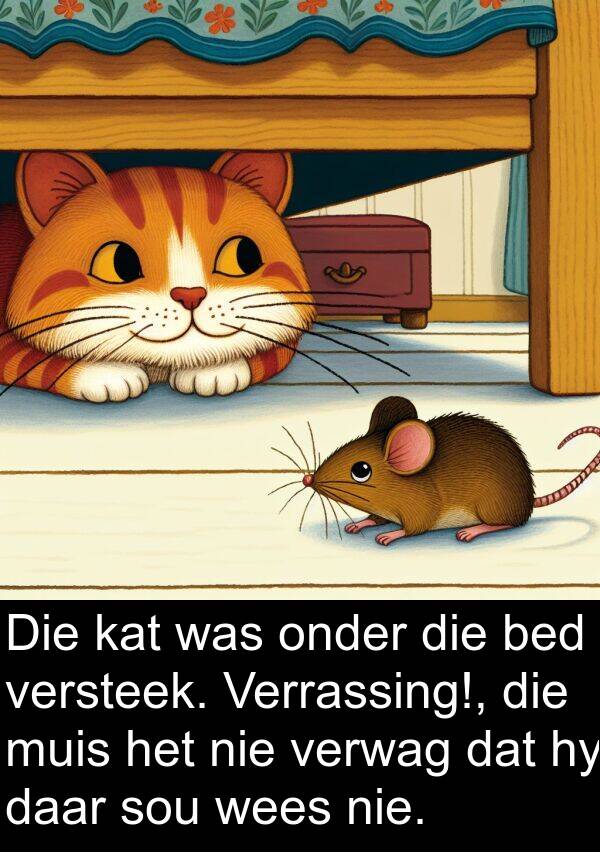 bed: Die kat was onder die bed versteek. Verrassing!, die muis het nie verwag dat hy daar sou wees nie.