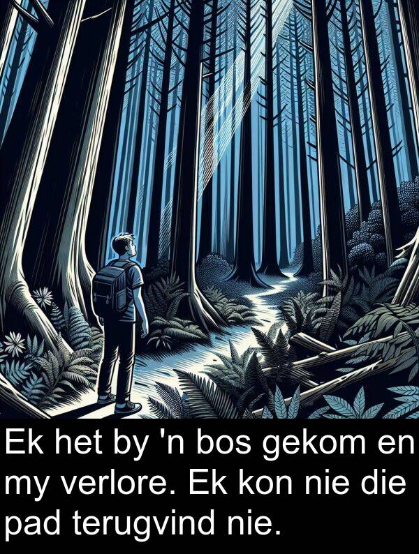 gekom: Ek het by 'n bos gekom en my verlore. Ek kon nie die pad terugvind nie.