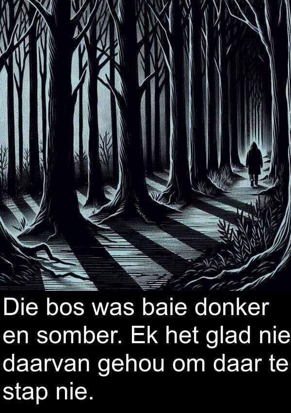 gehou: Die bos was baie donker en somber. Ek het glad nie daarvan gehou om daar te stap nie.