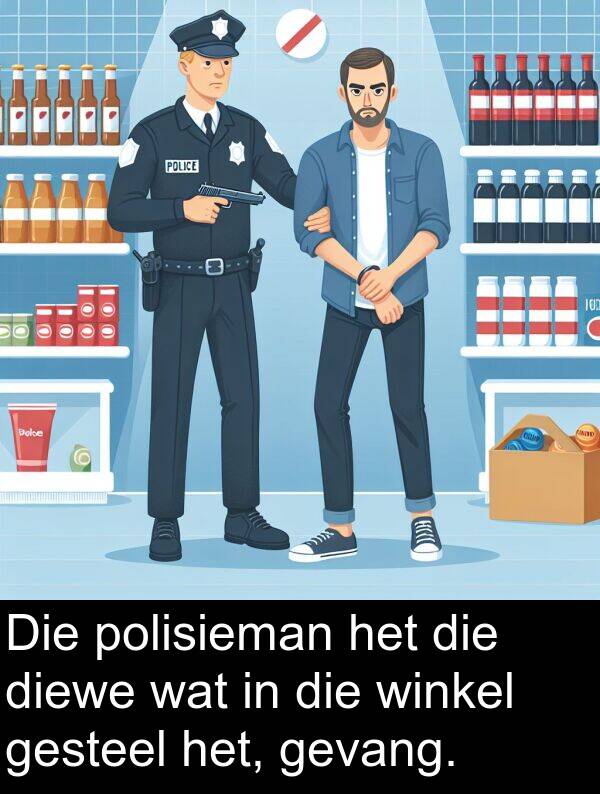 polisieman: Die polisieman het die diewe wat in die winkel gesteel het, gevang.