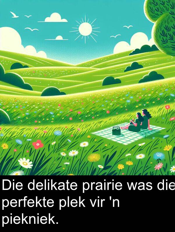 plek: Die delikate prairie was die perfekte plek vir 'n piekniek.