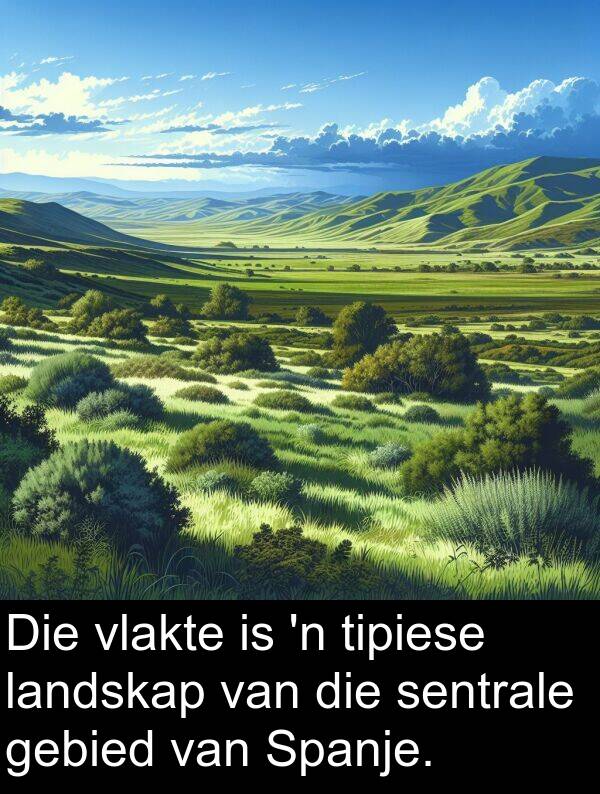 tipiese: Die vlakte is 'n tipiese landskap van die sentrale gebied van Spanje.