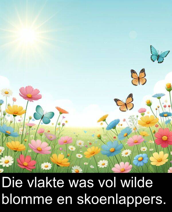 wilde: Die vlakte was vol wilde blomme en skoenlappers.