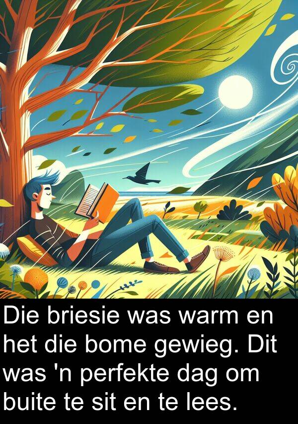 perfekte: Die briesie was warm en het die bome gewieg. Dit was 'n perfekte dag om buite te sit en te lees.