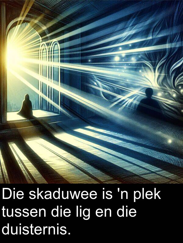 plek: Die skaduwee is 'n plek tussen die lig en die duisternis.