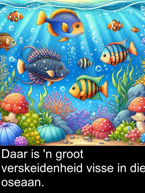 groot: Daar is 'n groot verskeidenheid visse in die oseaan.