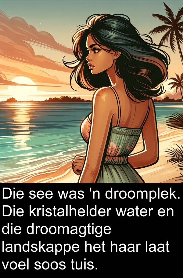 droomagtige: Die see was 'n droomplek. Die kristalhelder water en die droomagtige landskappe het haar laat voel soos tuis.