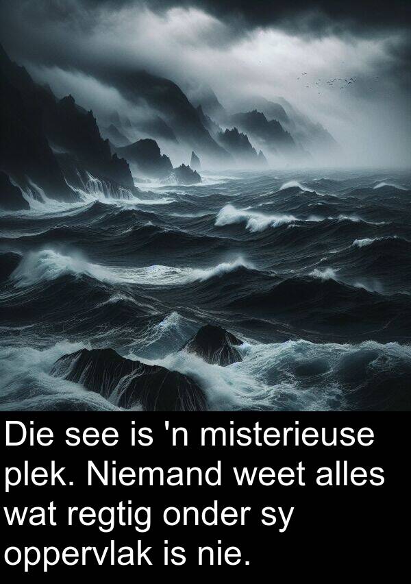 plek: Die see is 'n misterieuse plek. Niemand weet alles wat regtig onder sy oppervlak is nie.