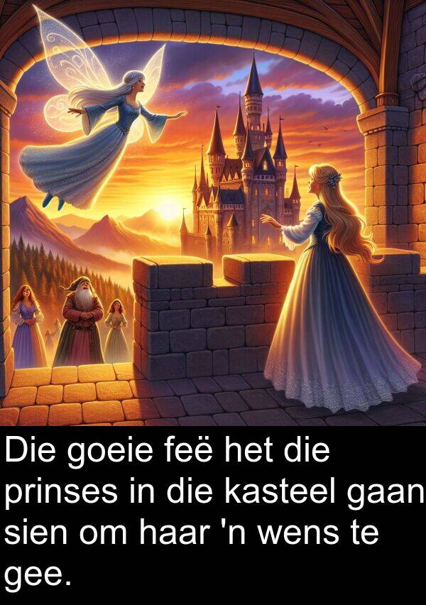 feë: Die goeie feë het die prinses in die kasteel gaan sien om haar 'n wens te gee.