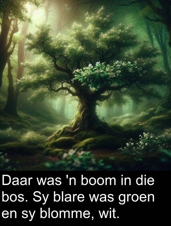 wit: Daar was 'n boom in die bos. Sy blare was groen en sy blomme, wit.