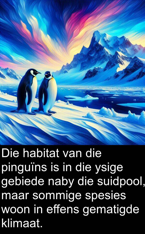 habitat: Die habitat van die pinguïns is in die ysige gebiede naby die suidpool, maar sommige spesies woon in effens gematigde klimaat.