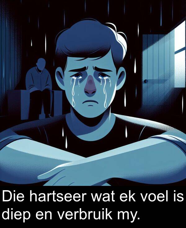 hartseer: Die hartseer wat ek voel is diep en verbruik my.