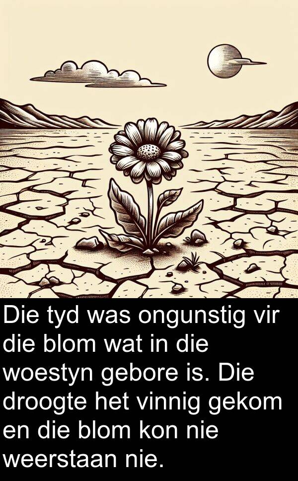 gekom: Die tyd was ongunstig vir die blom wat in die woestyn gebore is. Die droogte het vinnig gekom en die blom kon nie weerstaan nie.